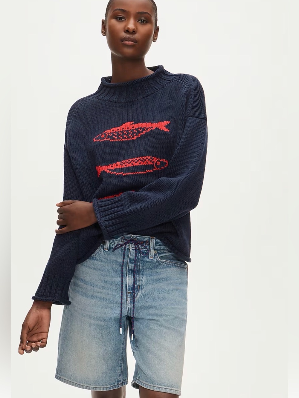 J CREW SMALL 2025 Rollneck™ sweater with sardine intarsia CT980
